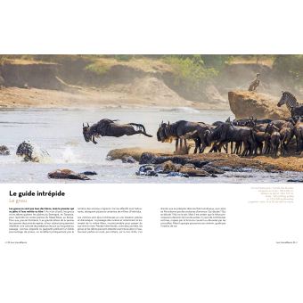 Super-Héros de la Nature