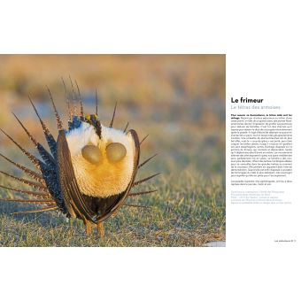 Super-Héros de la Nature