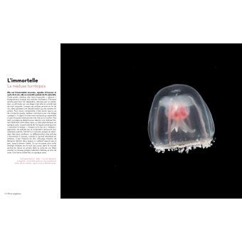 Super-Héros de la Nature