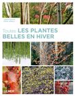 Toutes les plantes belles en hiver