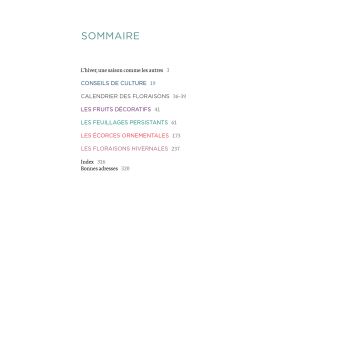 Toutes les plantes belles en hiver