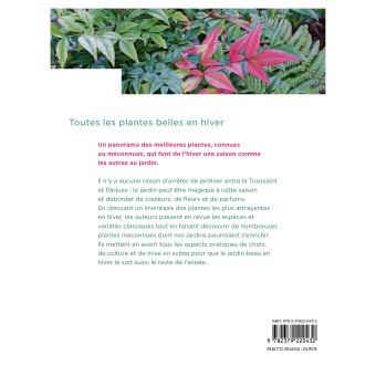 Toutes les plantes belles en hiver