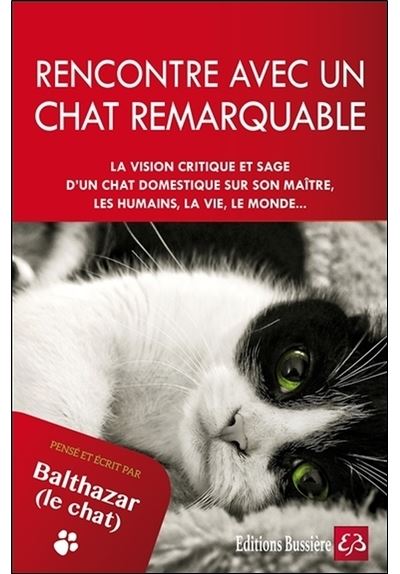 Rencontre avec un chat remarquable