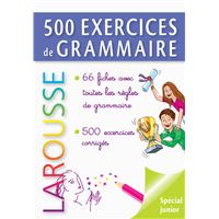 500 Dictees Et Exercices D Orthographe Broche Daniel Berlion Achat Livre Fnac