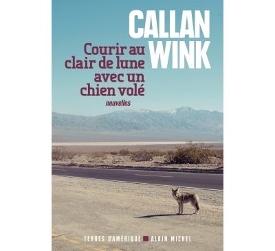 Courir au clair de lune avec un chien volé