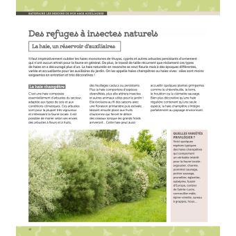 Favoriser la biodiversité au jardin