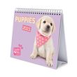 Calendrier bureau 2023 Studio Pets Dogs