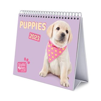 Calendrier bureau 2023 Studio Pets Dogs