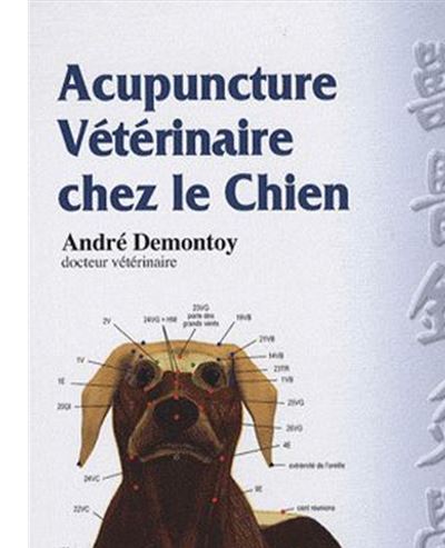 Acupuncture vétérinaire chez le chien