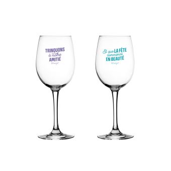 Lot de 2 verres à vin Mr. Wonderful