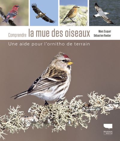 Comprendre la mue des oiseaux. Une aide pour l'ornitho de terrain - Marc Duquet - broché