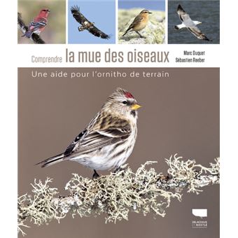 Comprendre la mue des oiseaux