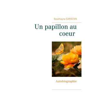 Un papillon au coeur