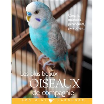 Les plus beaux oiseaux de compagnie - 1