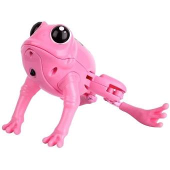 Qui est la grenouille-taureau et pourquoi s'appelle-t-elle ainsi