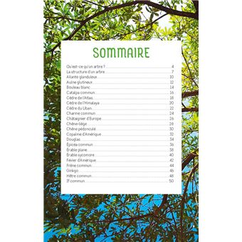 Découvrir les arbres