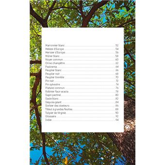 Découvrir les arbres