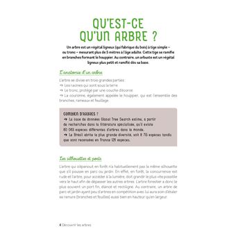 Découvrir les arbres