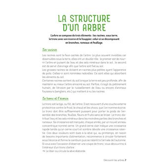 Découvrir les arbres