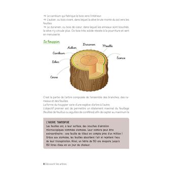 Découvrir les arbres