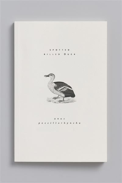 Canard a bec tachete carnet animal aquatique