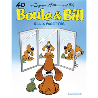 Boule et BillBill à facettes