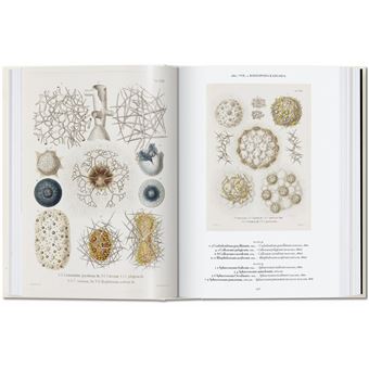 L’art et la science de Ernst Haeckel. 40th Ed.