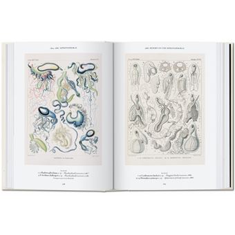 L’art et la science de Ernst Haeckel. 40th Ed.