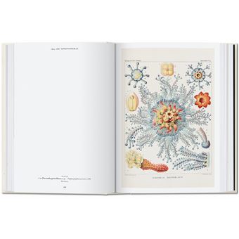 L’art et la science de Ernst Haeckel. 40th Ed.