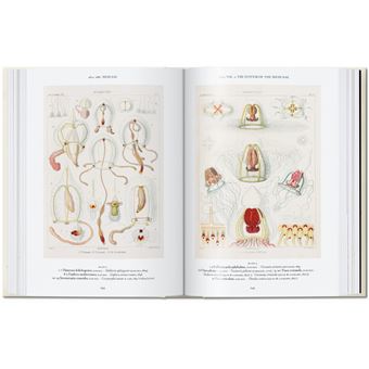 L’art et la science de Ernst Haeckel. 40th Ed.