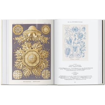 L’art et la science de Ernst Haeckel. 40th Ed.