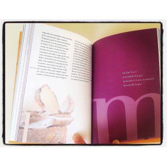 Dictionnaire délicieux de l'Italie