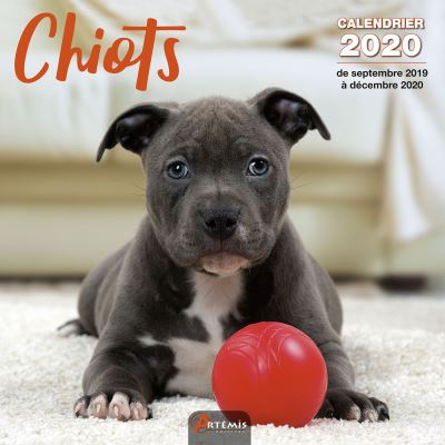 Calendrier Chiots (2020)