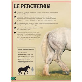 Le Livre extraordinaire des chevaux / Nouvelle édition (+ stickers)