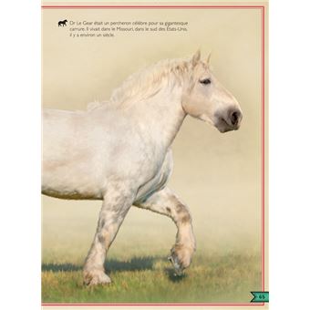 Le Livre extraordinaire des chevaux / Nouvelle édition (+ stickers)