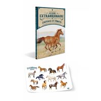 Cheval Documentaires 6 9 Ans Livre Bd Soldes Fnac