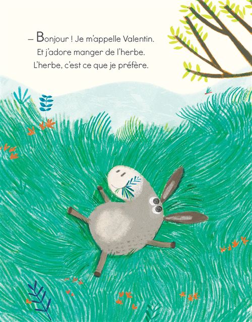 Le petit âne vert - cartonné - Anuska Allepuz, Livre tous