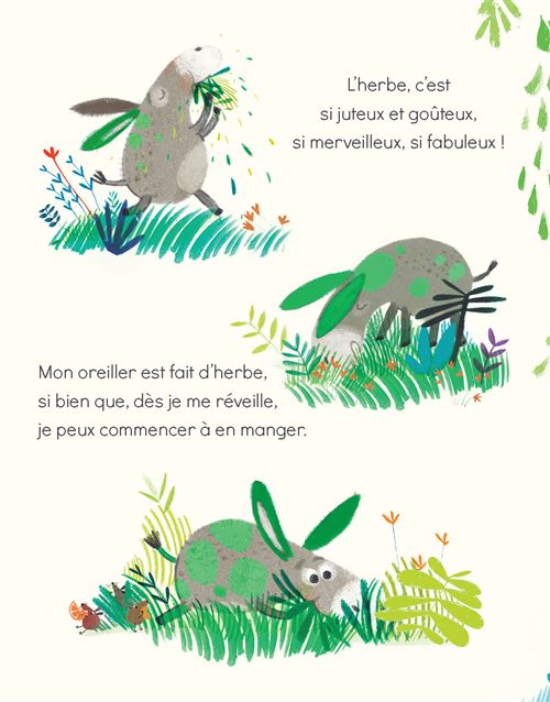 Mon petit âne Le-petit-ane-vert.jpg