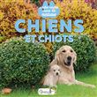 Chiens et chiots