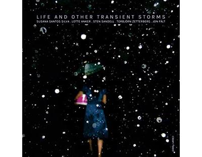 Life and other transient storms