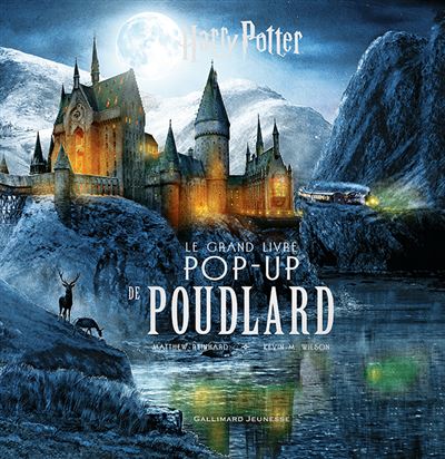 Harry Potter - Le grand livre pop-up de Poudlard - Collectif - cartonné -  Achat Livre