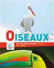 En photos et en videos - oiseaux