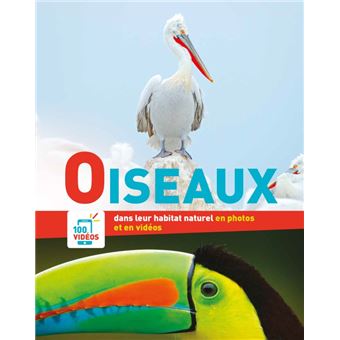 En photos et en videos - oiseaux