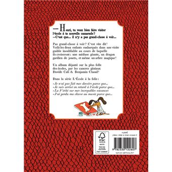 La Vérité sur ma folle école