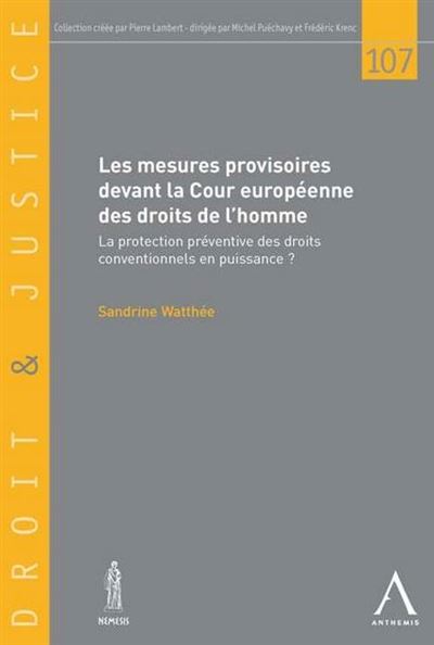 Les mesures provisoires devant la cour européenne des droits de l'homme -  Watthée s. - broché