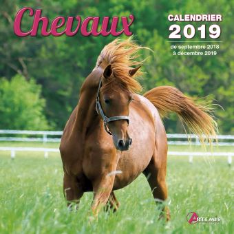 Calendrier 2019 CHEVAUX