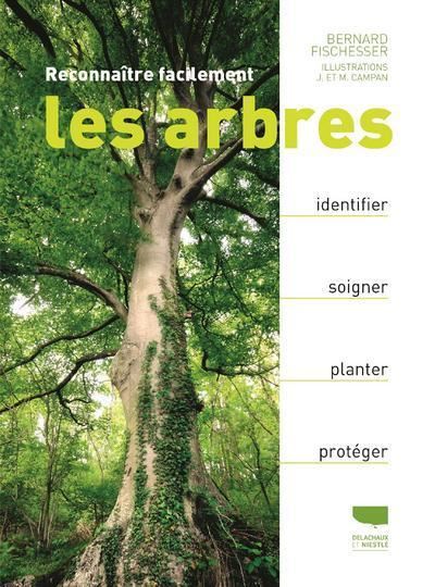 Reconnaitre facilement les arbres