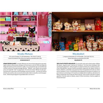 Avoir un chat à Paris - Santé, toilettage, pattucure, cat-sitting et psy-chat-nalyse...