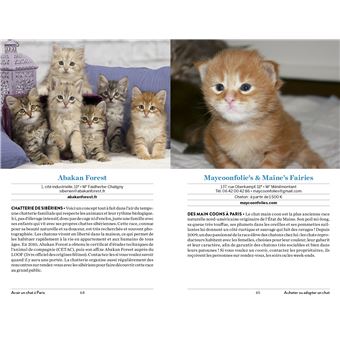 Avoir un chat à Paris - Santé, toilettage, pattucure, cat-sitting et psy-chat-nalyse...