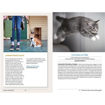 Avoir un chat à Paris - Santé, toilettage, pattucure, cat-sitting et psy-chat-nalyse...